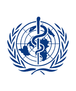 Certificato 1